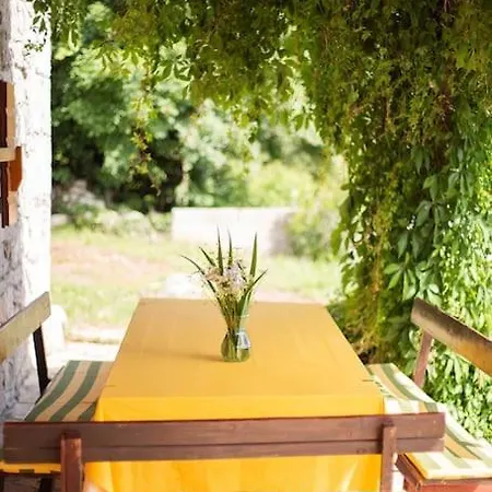 Villa Millefoglie, A Century-old Stone House Nestled In A Nature Park Lupoglav (Istria)