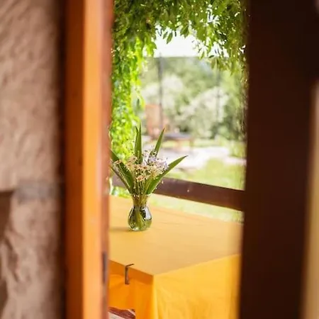 Villa Millefoglie, A Century-old Stone House Nestled In A Nature Park Lupoglav (Istria)