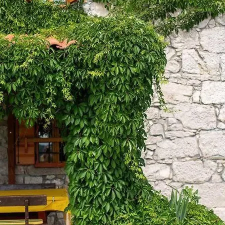 Villa Millefoglie, A Century-old Stone House Nestled In A Nature Park Lupoglav (Istria)